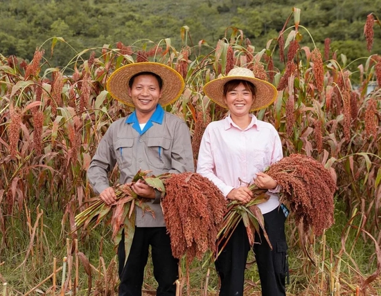 仁怀：地区生产总值和工业总产值突破千亿元，成为贵州首个“双千亿”强市